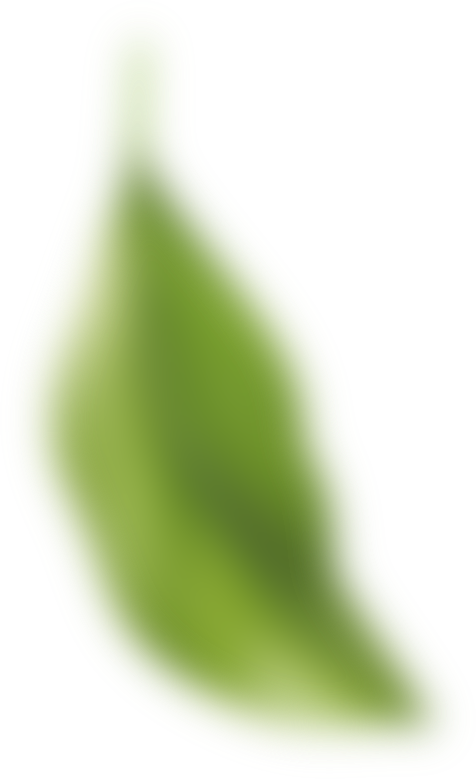 f2