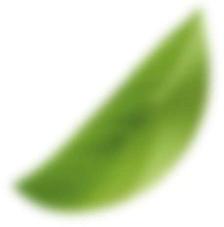 f5