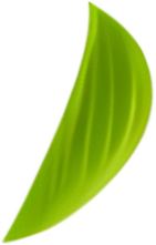 f6