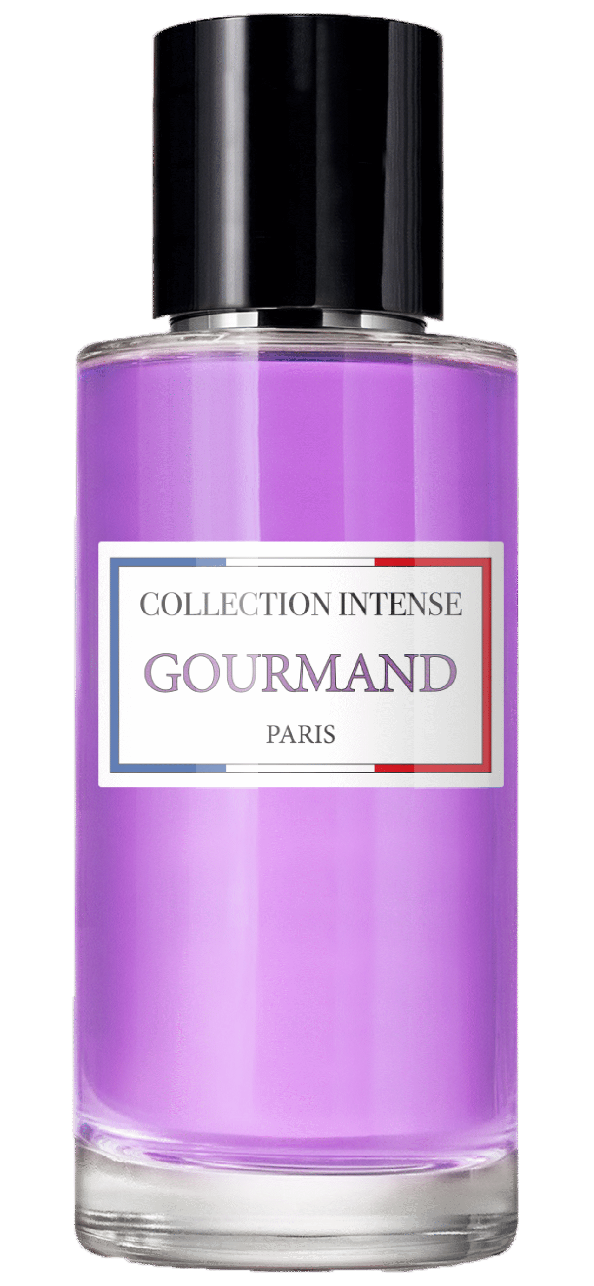 PARFUM COLLECTION INTENSE -01 (1)
