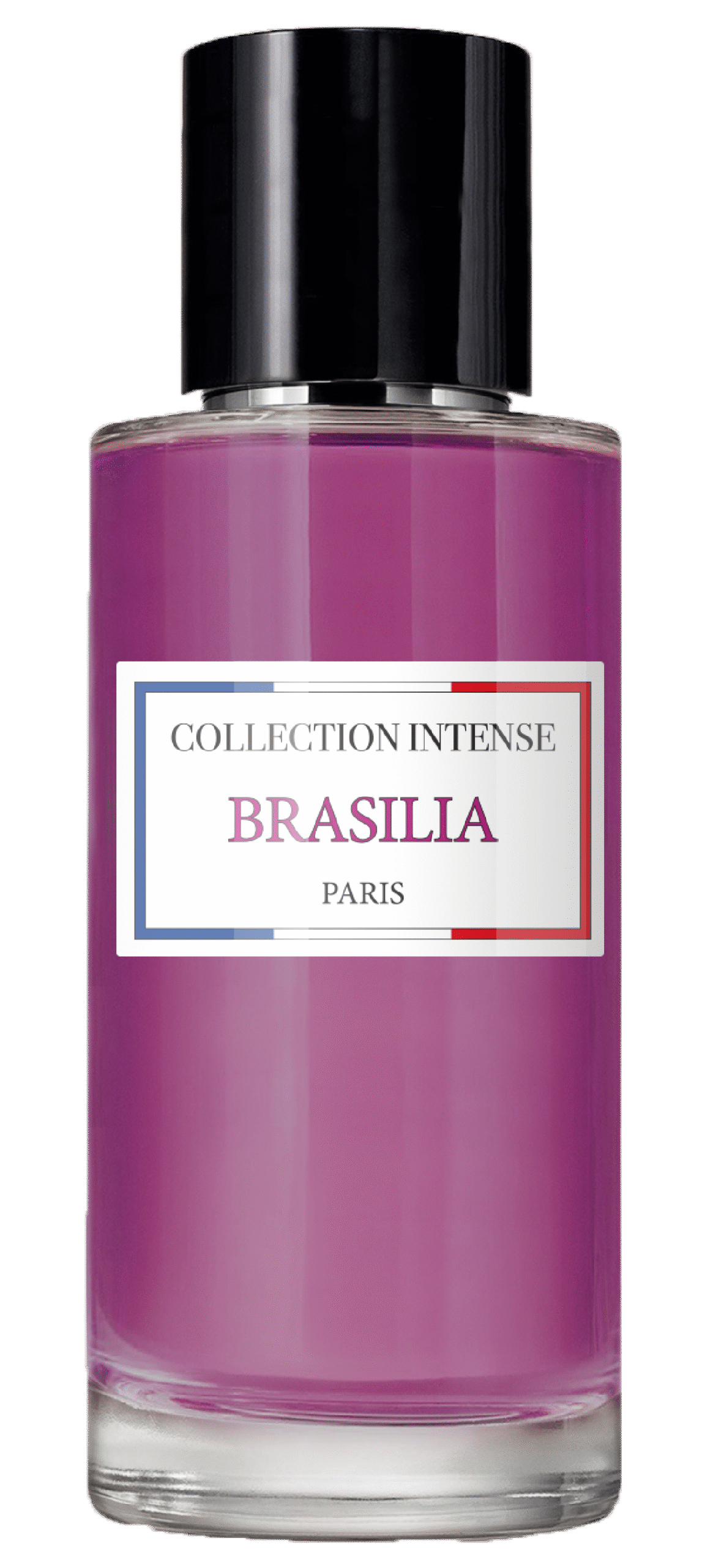 PARFUM COLLECTION INTENSE -02