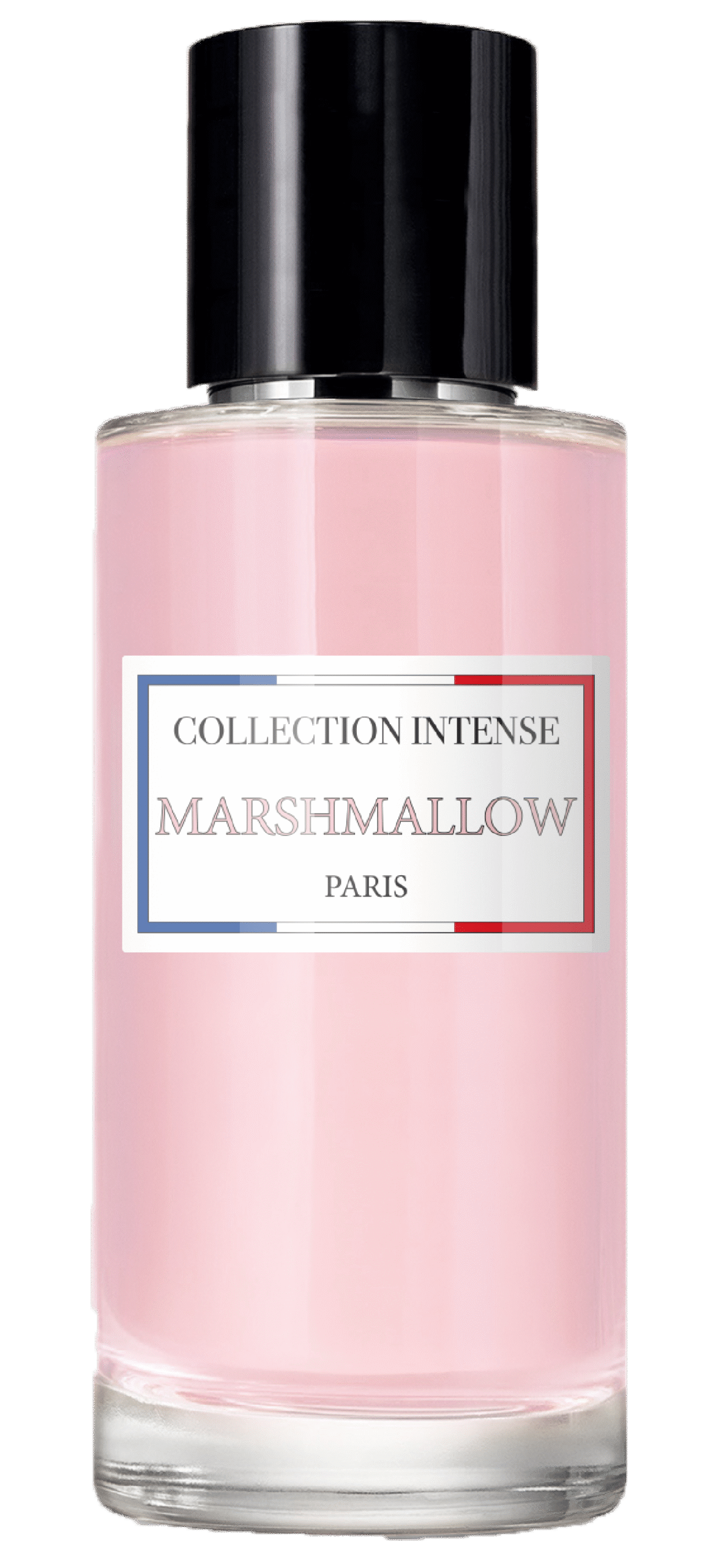 PARFUM COLLECTION INTENSE -04